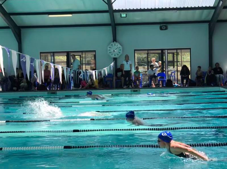 Fun and group/41479990_2098866366842876_565007672252825600_n (edited-Pixlr).jpg